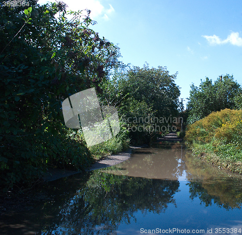 Image of water and trees