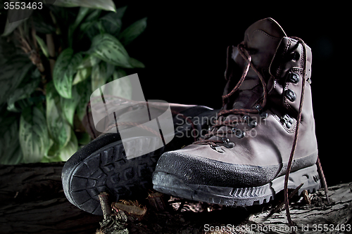 Image of Hiking Boots