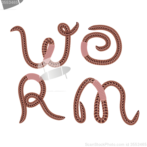 Image of Animal Earth Red Worms