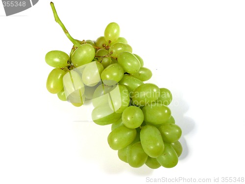 Image of Green grapes bunch 1