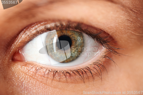 Image of Macro image of human eye