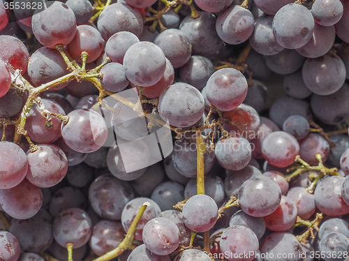 Image of Red grape fruits