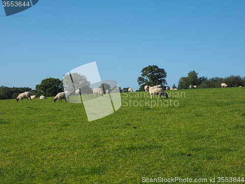 Image of View of Tanworth in Arden