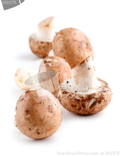 Image of Brown mushrooms