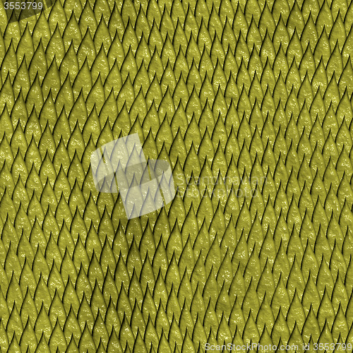 Image of Snake skin