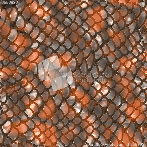 Image of Snake skin
