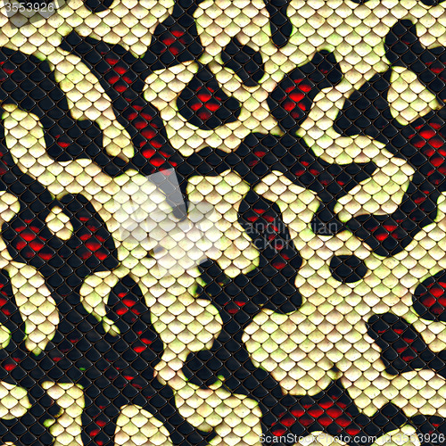 Image of Snake skin