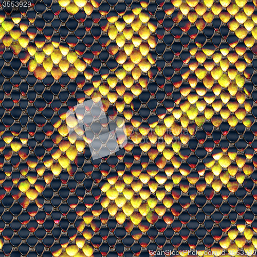Image of Snake skin