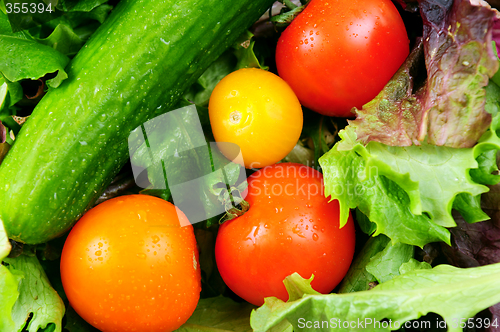 Image of Fresh vegetables