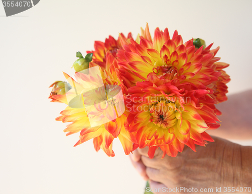 Image of man holds orange and yellow dahlia bouquet