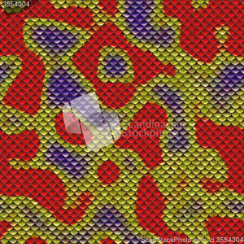 Image of Snake skin