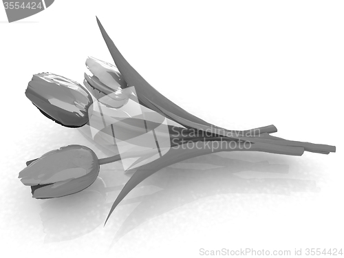 Image of Tulip flower