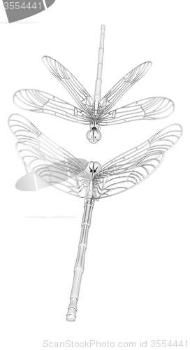 Image of Dragonfly