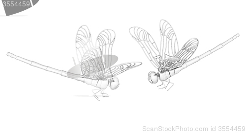 Image of Dragonfly