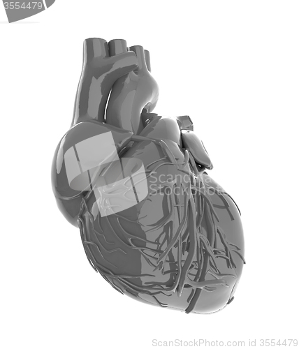 Image of Human heart