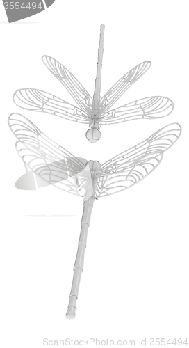 Image of Dragonfly