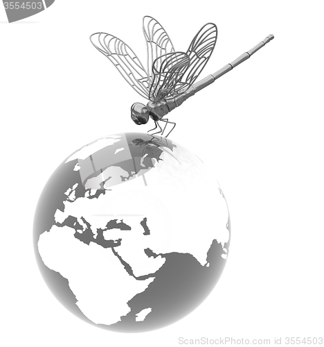 Image of Dragonfly on earth