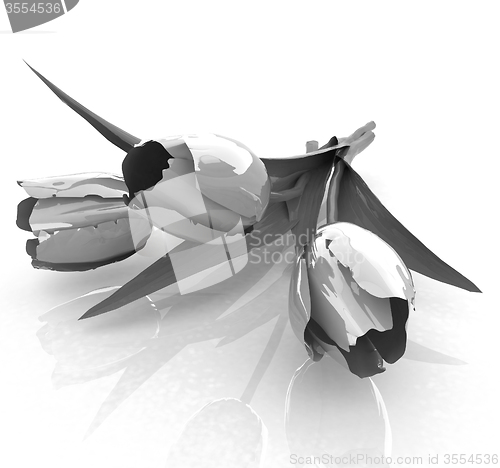 Image of Tulip flower