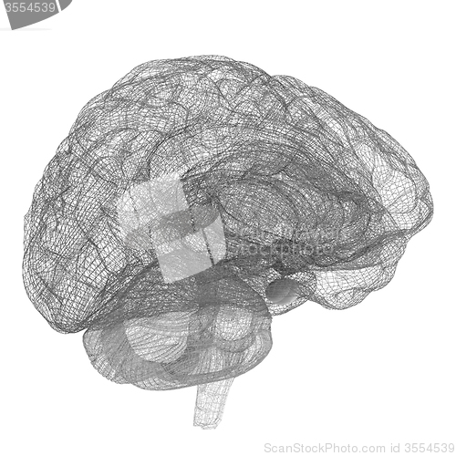 Image of Creative concept of the human brain