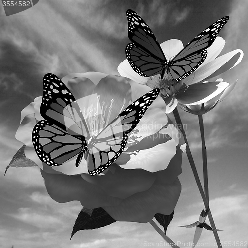 Image of Beautiful Flower and butterfly against the sky 