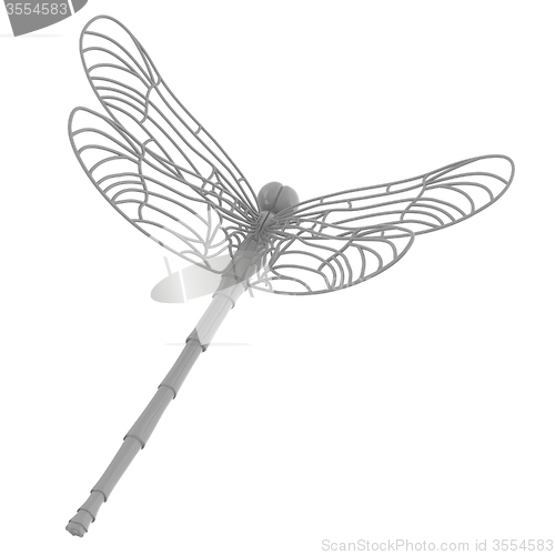 Image of Dragonfly