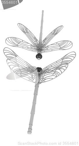 Image of Dragonfly