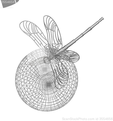 Image of Dragonfly on abstract design sphere