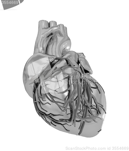 Image of Human heart