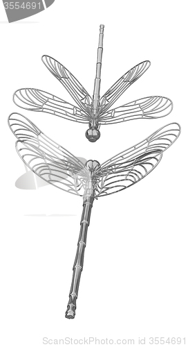 Image of Dragonfly