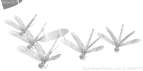 Image of Dragonflies