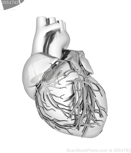 Image of Human heart