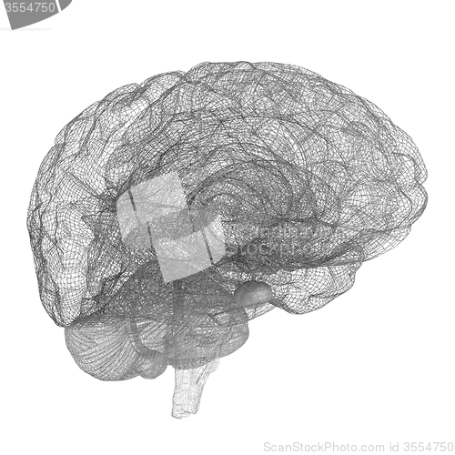 Image of Creative concept of the human brain