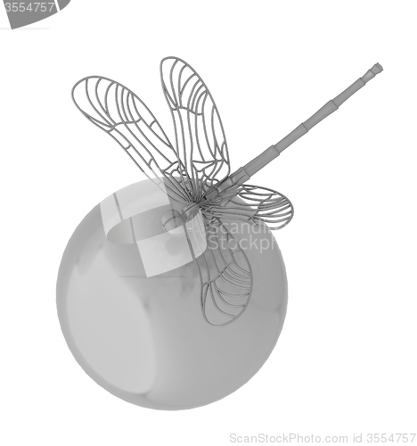 Image of Dragonfly on abstract design sphere