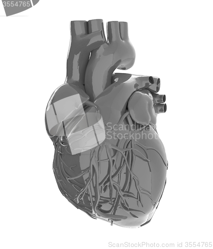 Image of Human heart