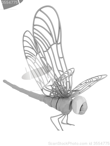 Image of Dragonfly