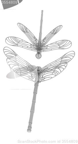 Image of Dragonfly