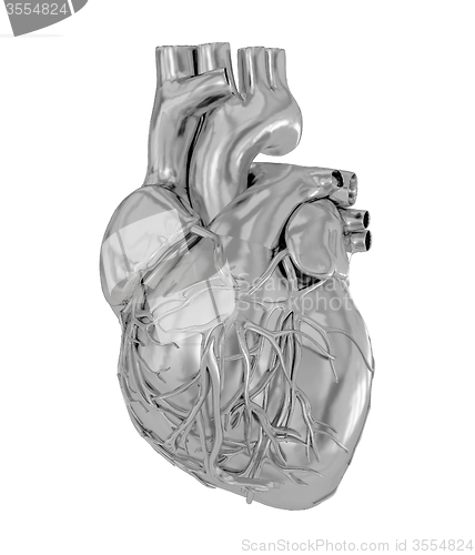 Image of Human heart