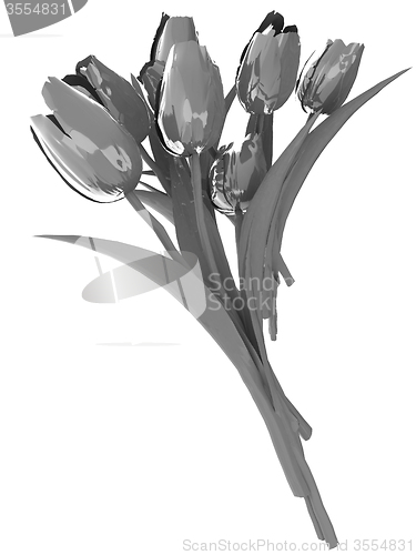 Image of Tulip flower
