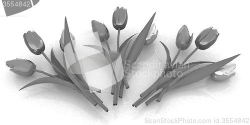 Image of Tulip flower