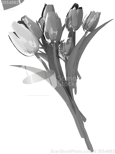 Image of Tulip flower