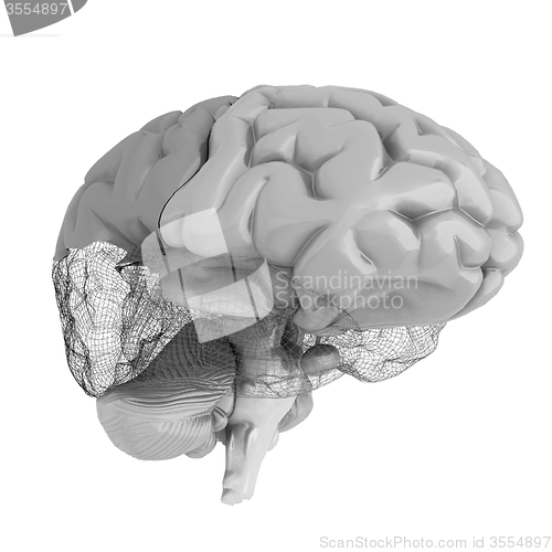 Image of Creative concept of the human brain