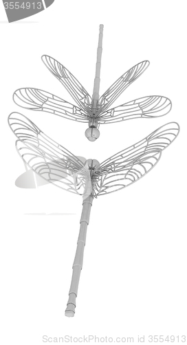 Image of Dragonfly