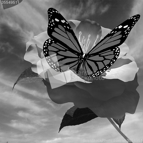 Image of Beautiful Flower and butterfly against the sky 