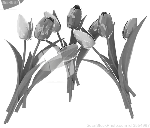 Image of Tulip flower