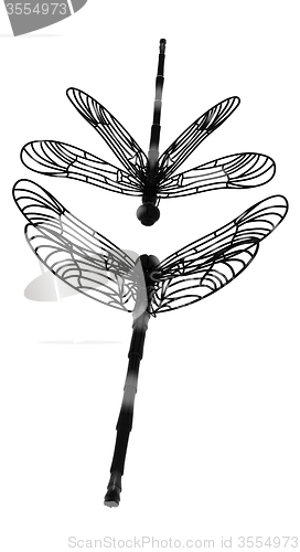 Image of Dragonfly