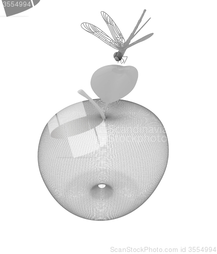 Image of Dragonfly on apple