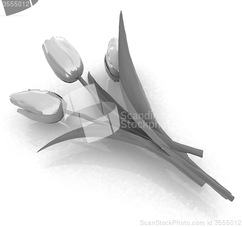 Image of Tulip flower