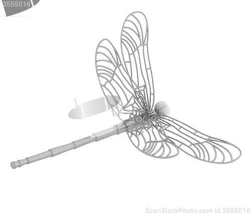 Image of Dragonfly