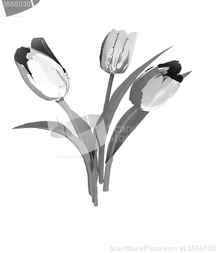 Image of Tulip flower