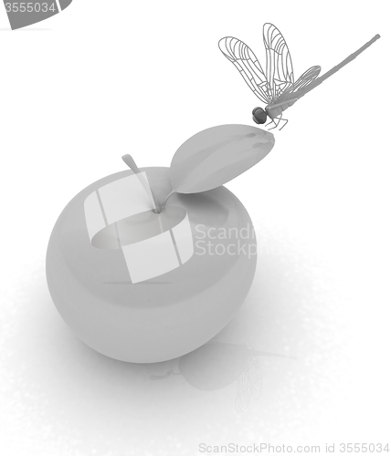 Image of Dragonfly on apple